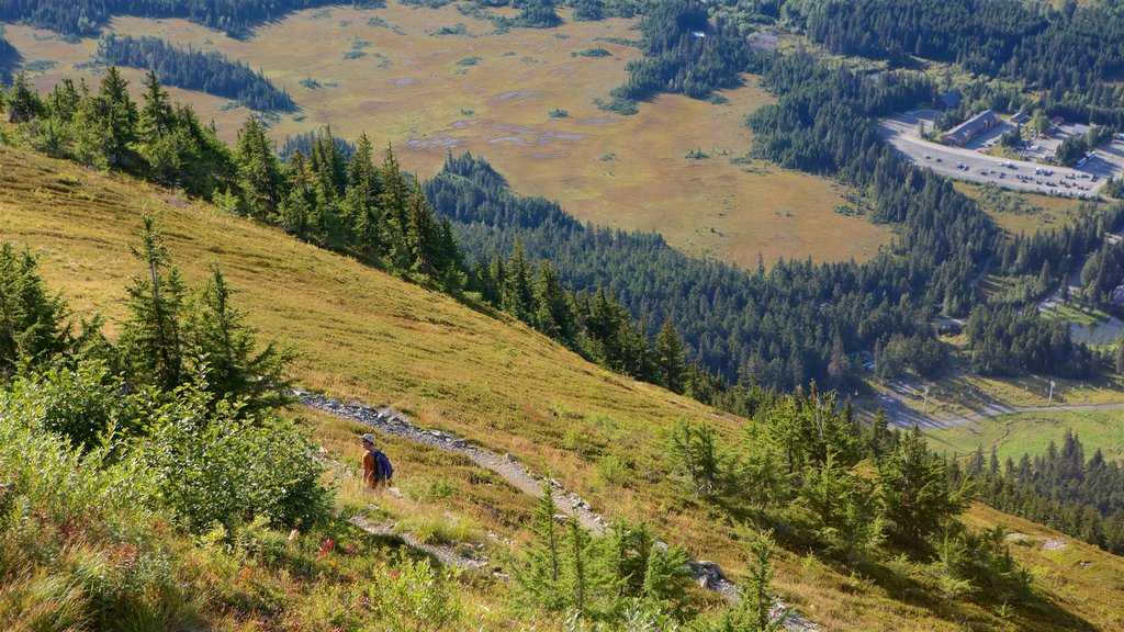 Alyeska Ski Resort showing landscape views and tranquil scenes