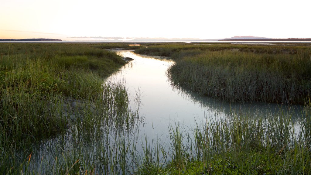 Tony Knowles Coastal Trail toont wetlands en landschappen