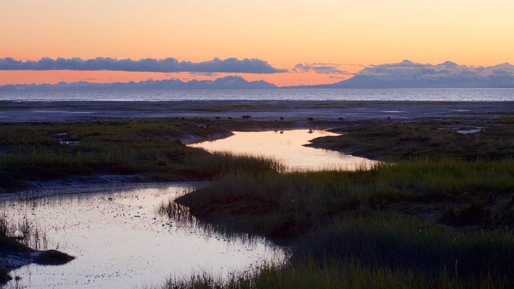 Tony Knowles Coastal Trail which includes wetlands, a sunset and landscape views