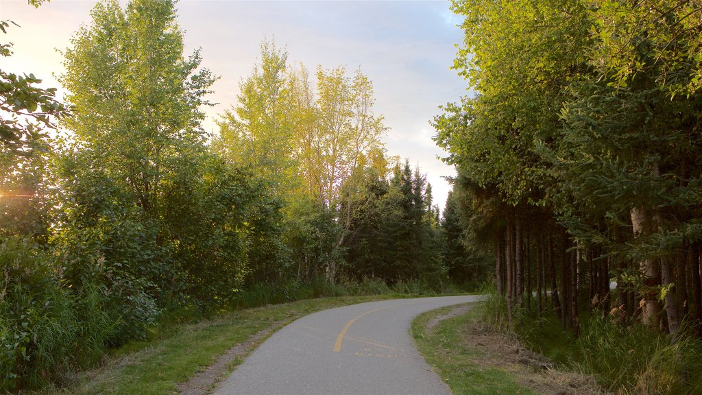 Tony Knowles Coastal Trail caracterizando cenas tranquilas e um pôr do sol