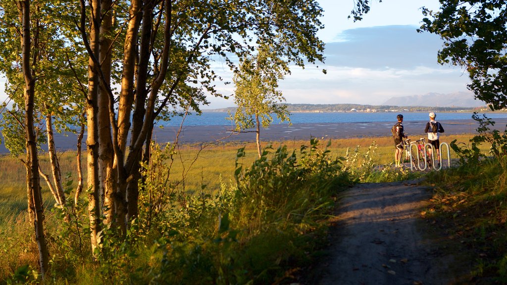 Tony Knowles Coastal Trail som viser rolig landskap og solnedgang i tillegg til par