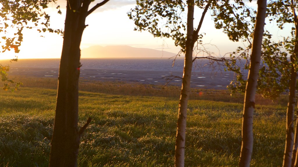 Tony Knowles Coastal Trail showing tranquil scenes and a sunset