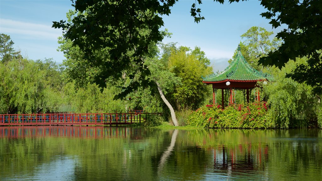 Chateau Montelena Winery mostrando un puente, un lago o espejo de agua y un parque