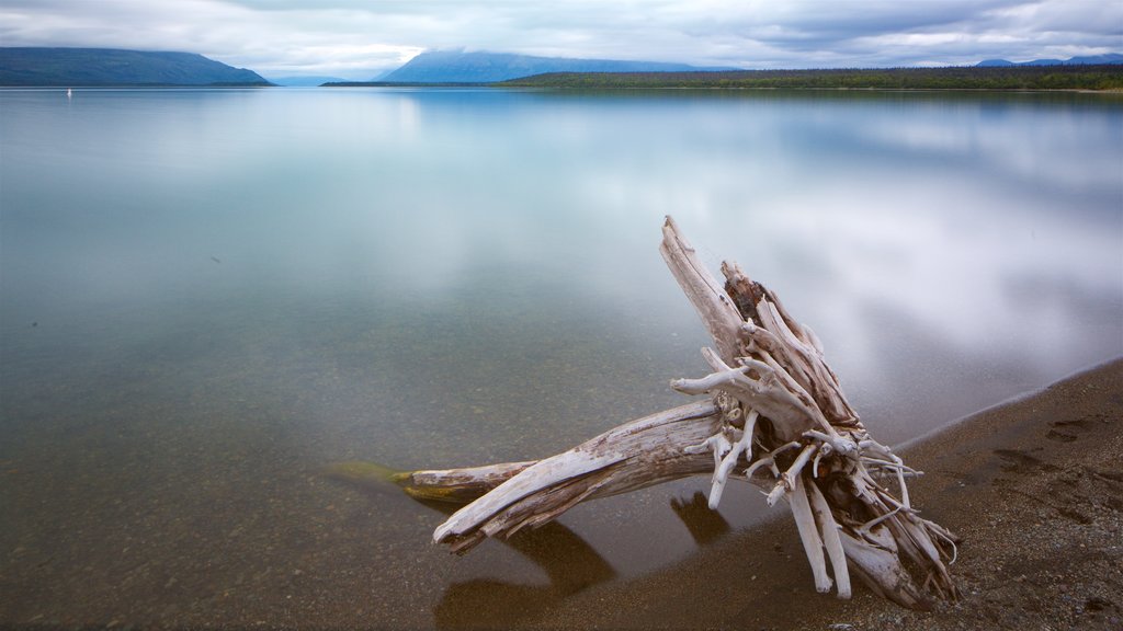 Katmai National Park and Preserve which includes a lake or waterhole