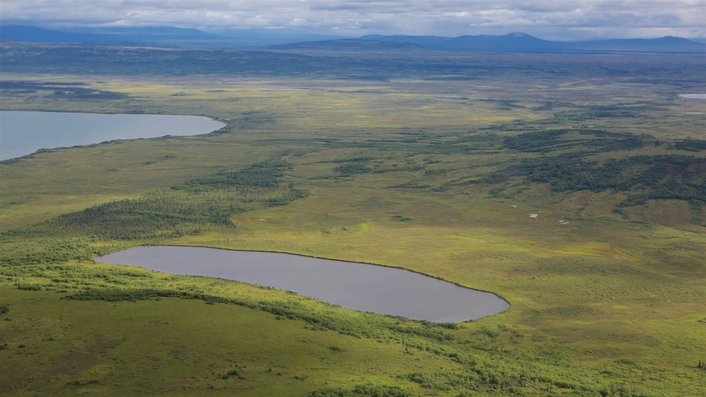 Parque Nacional y Reserva Katmai mostrando escenas tranquilas, vista panorámica y un lago o espejo de agua