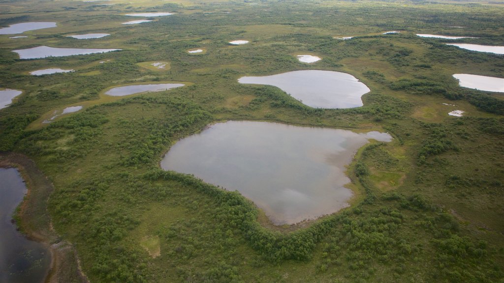 Katmai National Park and Preserve caracterizando paisagem, cenas tranquilas e um lago ou charco