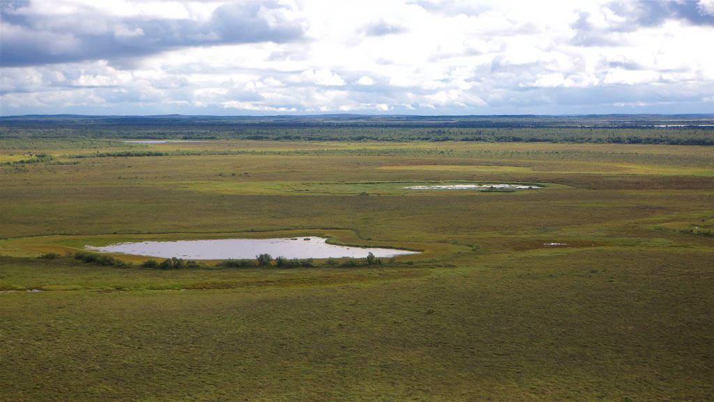 Katmai National Park and Preserve featuring landscape views, a pond and tranquil scenes