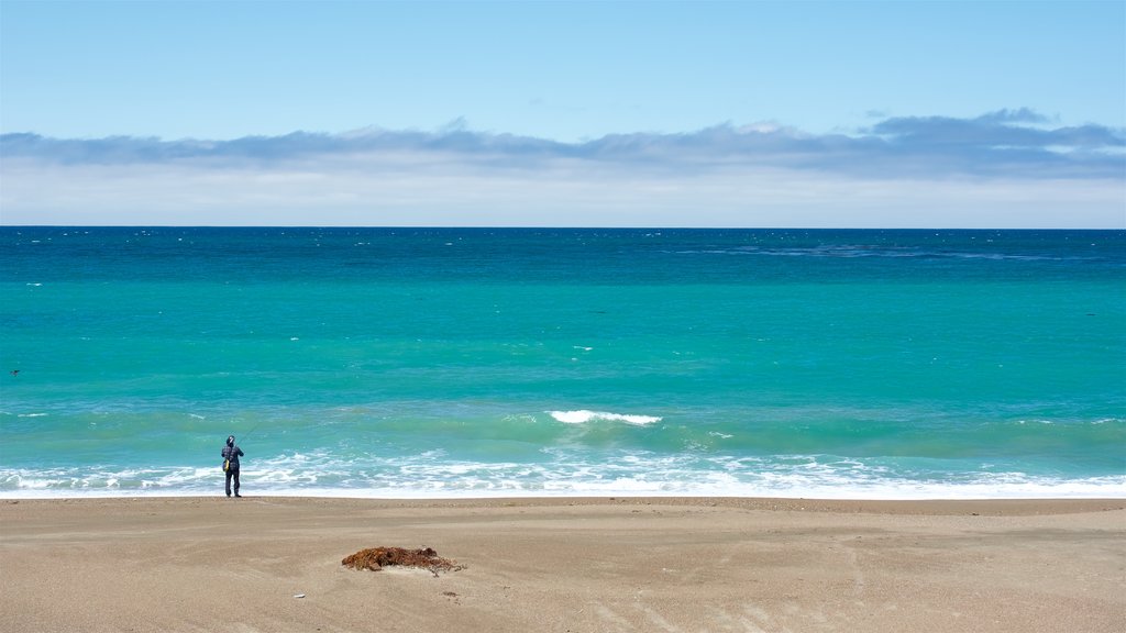 Moonstone Beach Park que incluye una playa y vista general a la costa