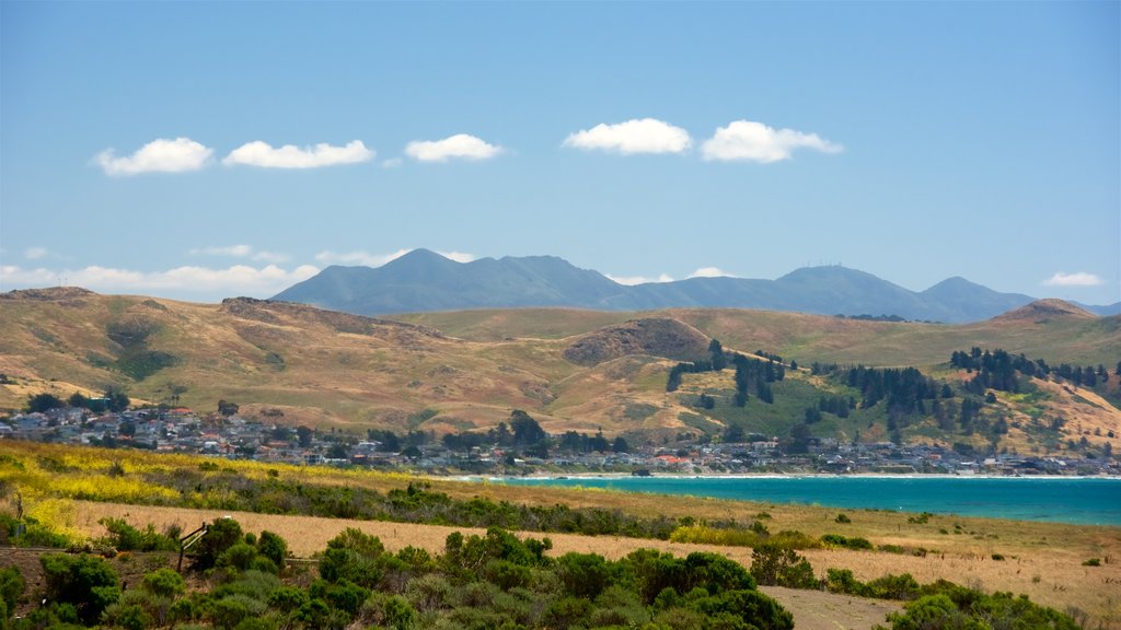 Moonstone Beach Park showing a coastal town, tranquil scenes and general coastal views