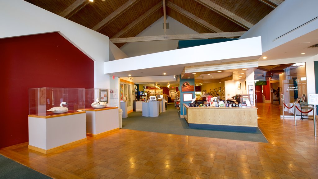 Ward Museum of Wildfowl Art which includes interior views