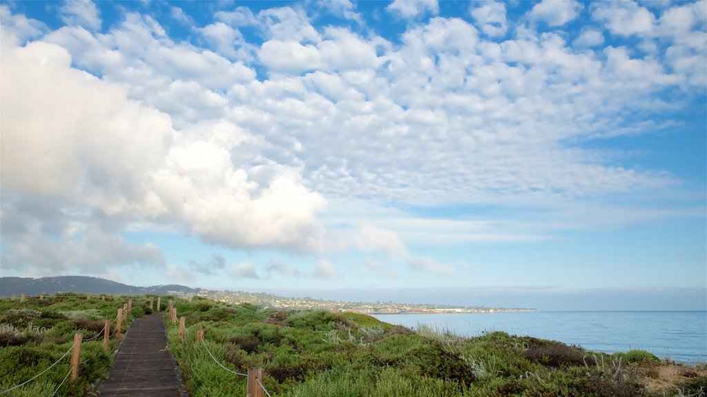 Del Monte Beach which includes general coastal views and tranquil scenes