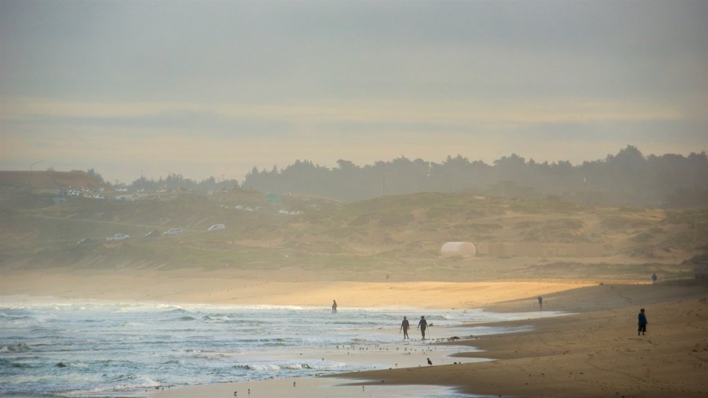 Del Monte Beach which includes a sandy beach, general coastal views and mist or fog