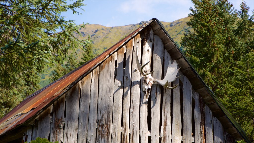 Crow Creek Mine showing heritage elements