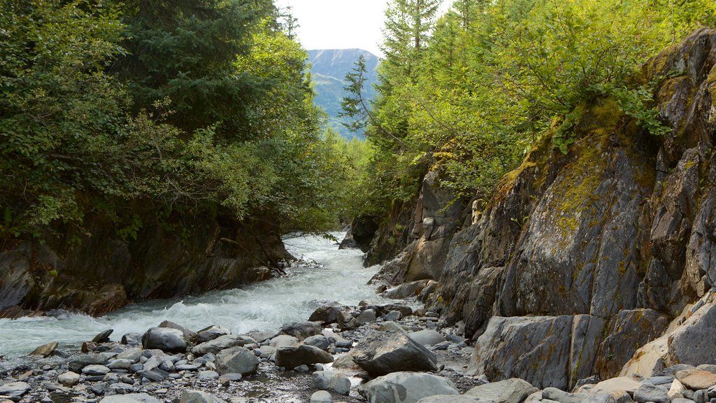 Crow Creek Mine inclusief een rivier of beek