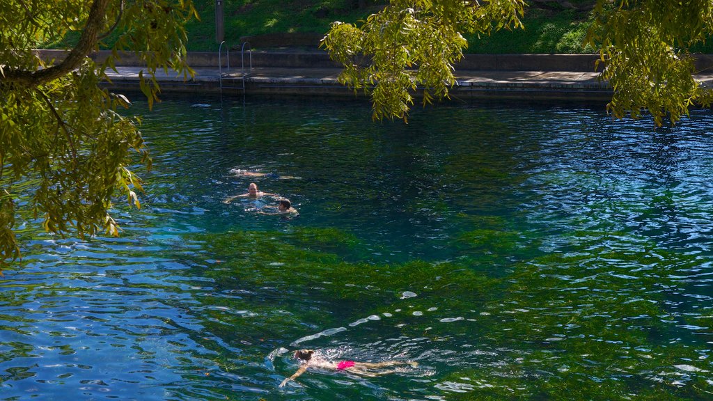 Parque Zilker que incluye un lago o abrevadero, natación y un jardín