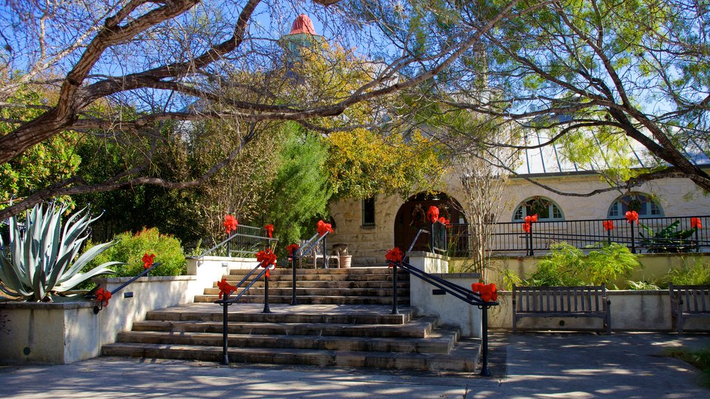 Jardín botánico de San Antonio mostrando una ciudad y un jardín