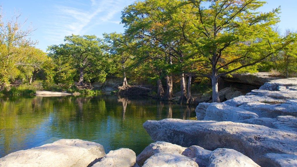 McKinney Falls State Park showing a garden, landscape views and forest scenes