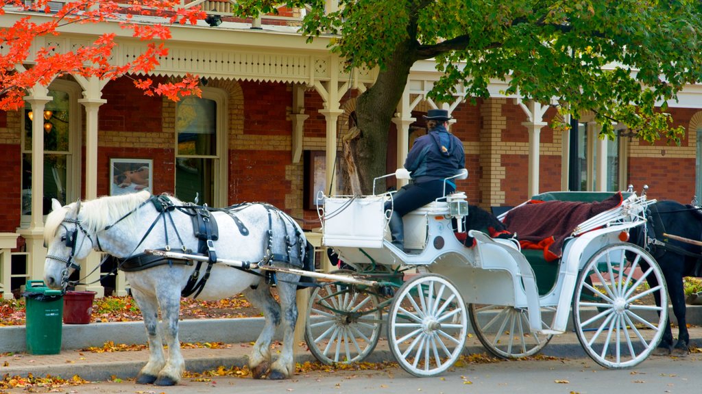 Niagara-on-the-Lake showing street scenes as well as an individual female