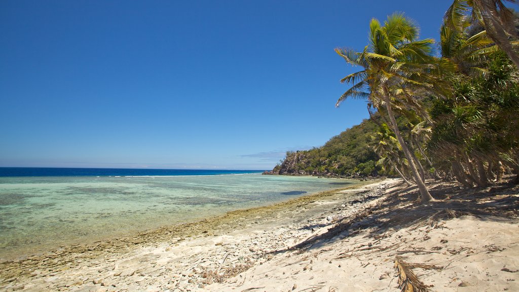 Mamanuca qui includes paysages tropicaux et une plage de sable