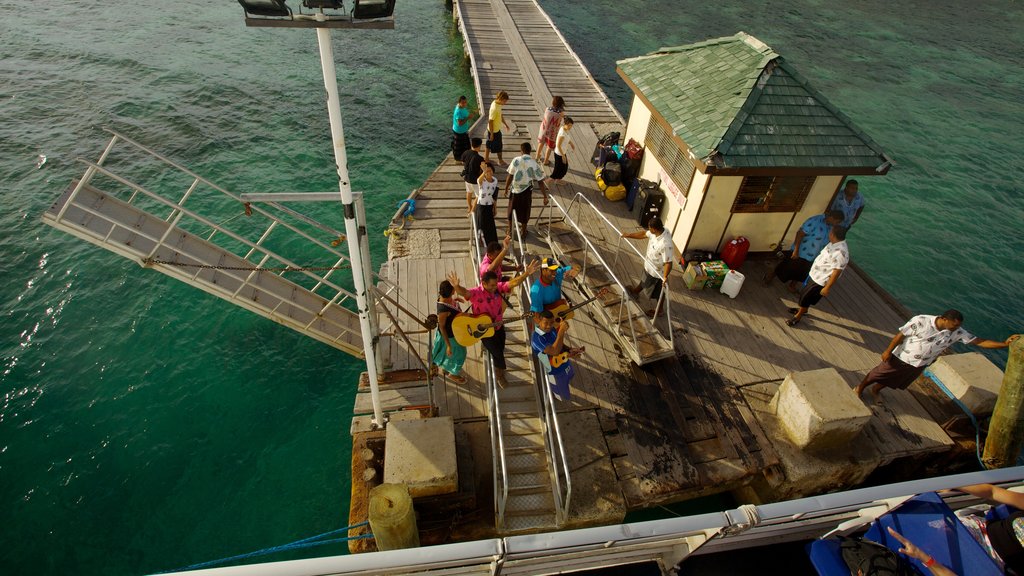 Islas Mamanuca que incluye un puerto deportivo y vistas de una costa y también un grupo pequeño de personas