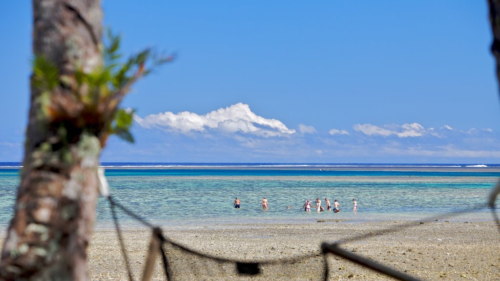 Coral Coast which includes a sandy beach, swimming and tropical scenes