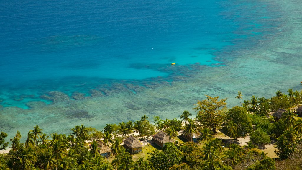 Fiji ofreciendo escenas tropicales, una localidad costera y vistas de una costa