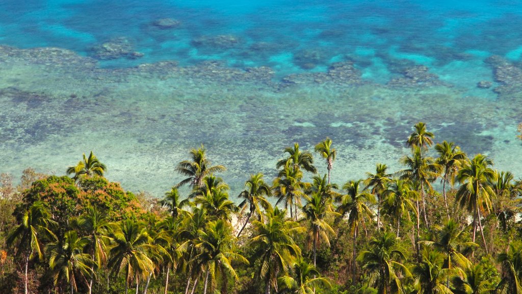 Fiji featuring tropical scenes and general coastal views