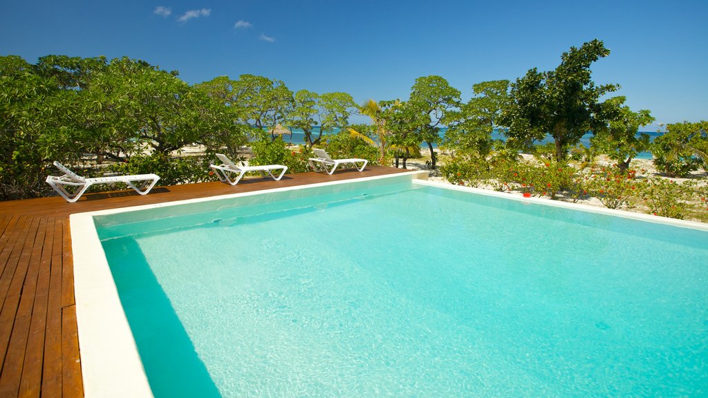 Viwa Island showing a pool