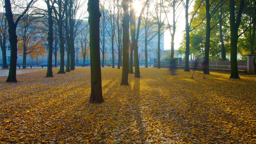 Portão de Brandenburgo que inclui folhas de outono, paisagem e um parque