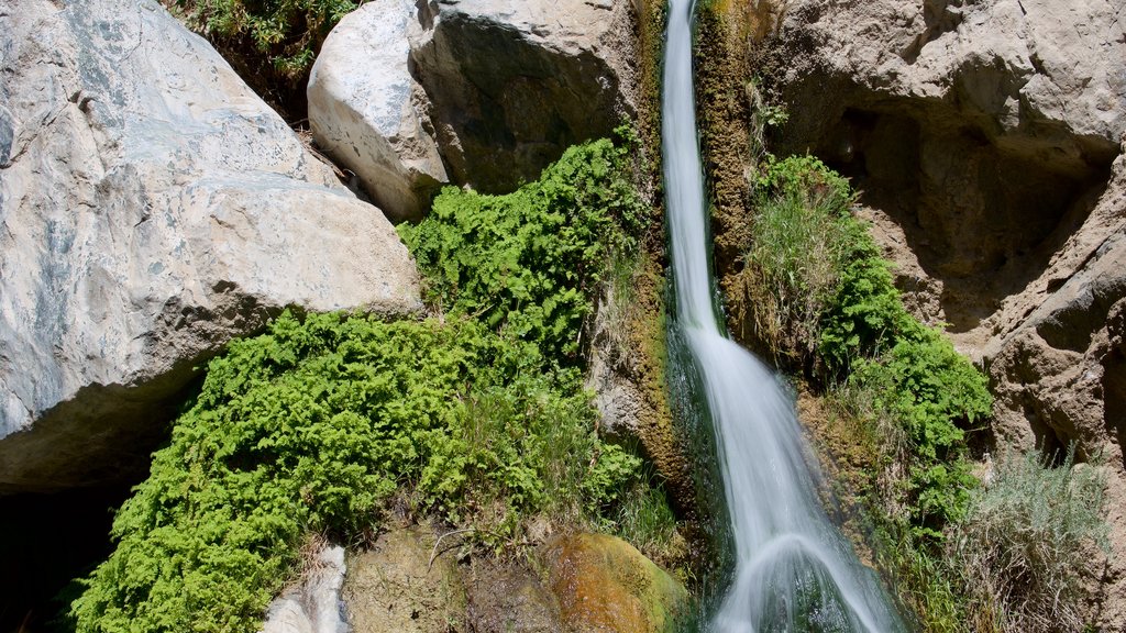 Darwin Falls showing a cascade