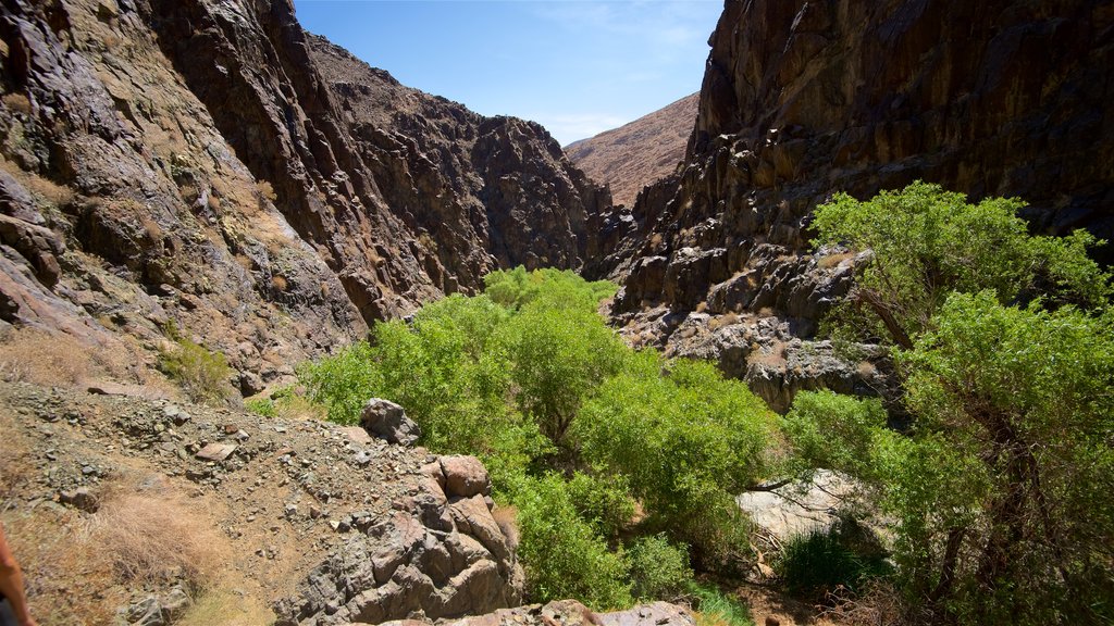 Darwin Falls inclusief een kloof of ravijn