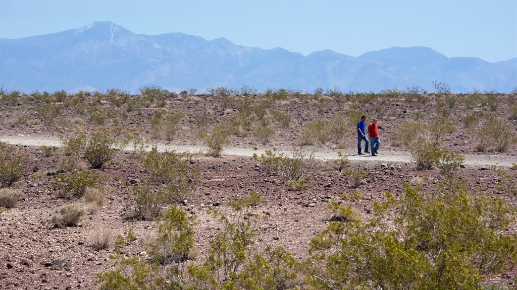 Valle de la Muerte ofreciendo vistas al desierto, senderismo o caminata y vistas de paisajes