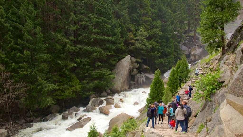 Mist Trail mostrando un río o arroyo, rápidos y caminatas