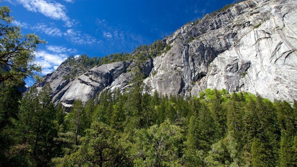 Mist Trail which includes a gorge or canyon