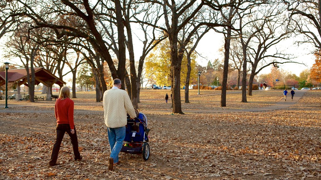 Minnehaha Park featuring autumn leaves and a park as well as a couple