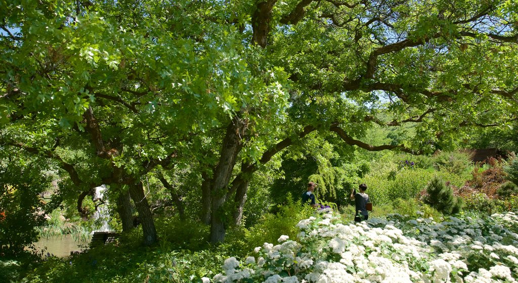 雷德山花園及植物園 呈现出 花園