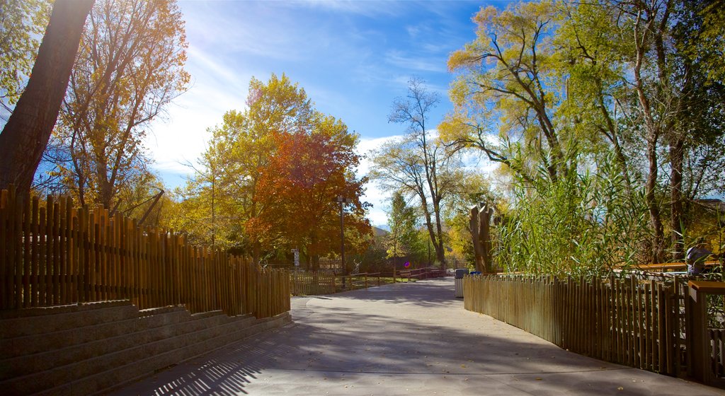 Dierentuin Hogle toont herfstbladeren en een park