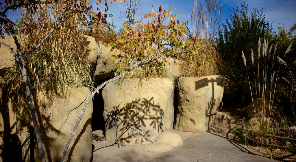 Hogle Zoo showing a garden