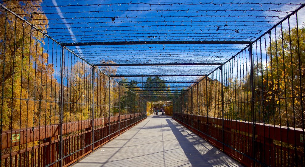 Hogle Zoo que inclui uma ponte e cores do outono