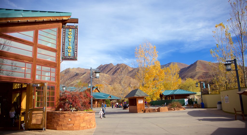 Hogle Zoo which includes autumn leaves and zoo animals