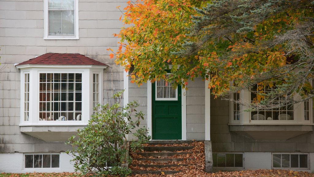 Lincoln showing autumn leaves and a house