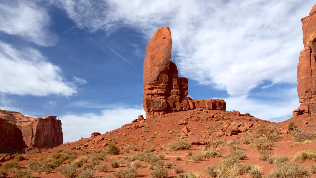 Monument Valley que incluye vistas al desierto y un barranco o cañón