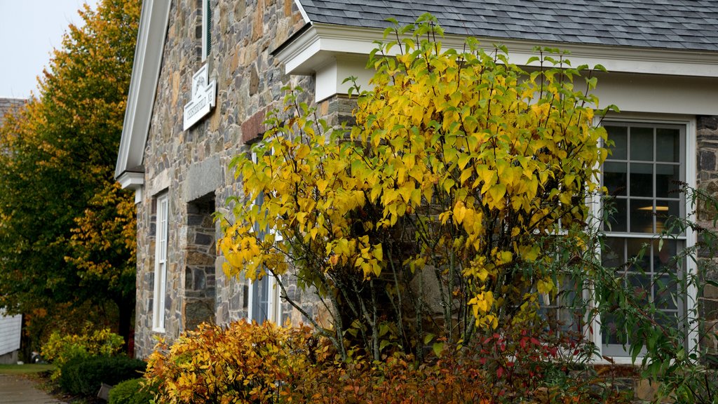 Chesterfield showing a house and autumn leaves