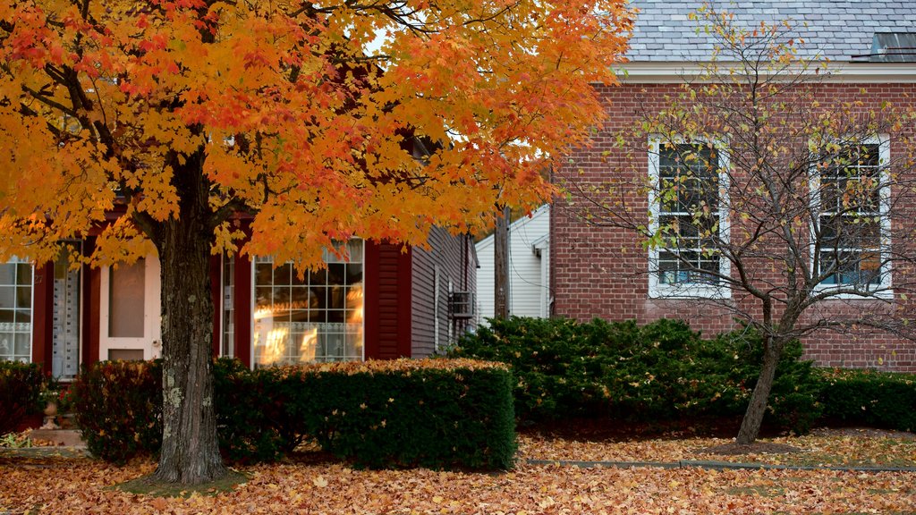 Hancock which includes a house and autumn leaves