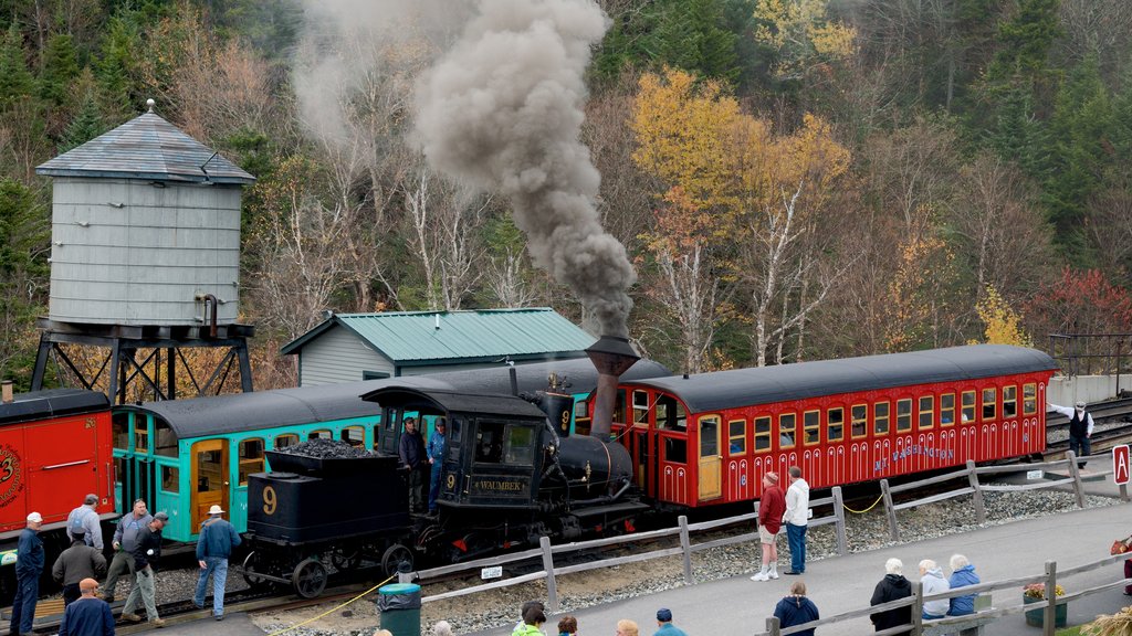 Mount Washington Cog Railway featuring heritage elements and railway items as well as a small group of people