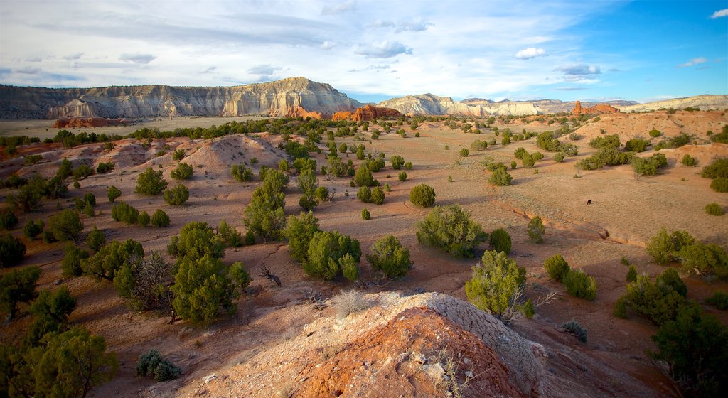 Kodachrome Basin State Park showing desert views, mountains and landscape views