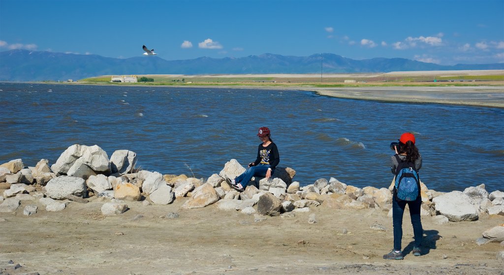 Parque estatal Great Salt Lake ofreciendo vista general a la costa y también una mujer