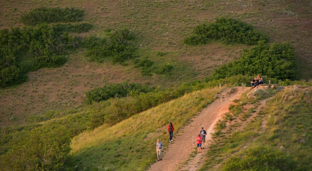 Ensign Peak Nature Park featuring landscape views, hiking or walking and tranquil scenes