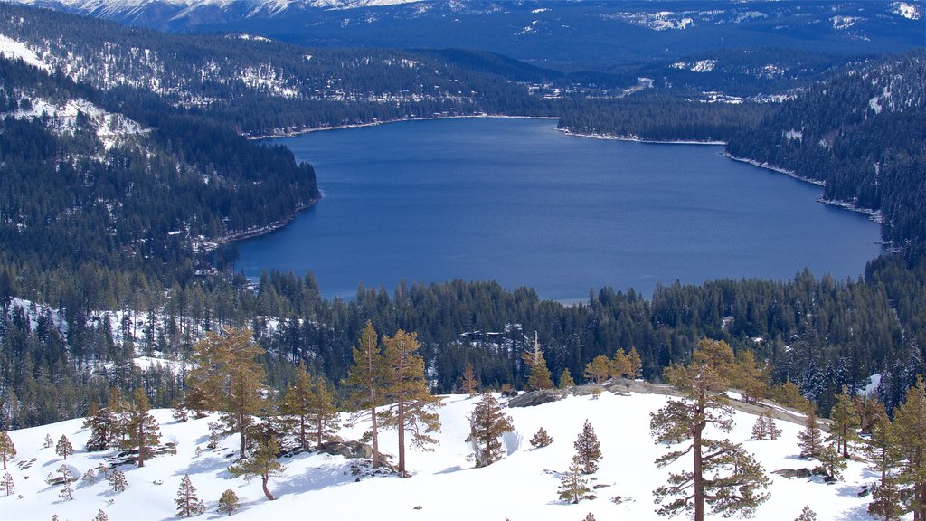 Bosque nacional Tahoe mostrando escenas tranquilas, nieve y un lago o espejo de agua