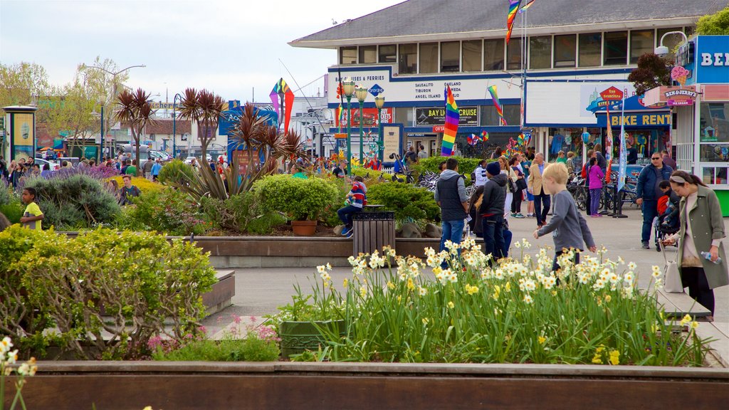 Pier 39 featuring wild flowers as well as a small group of people